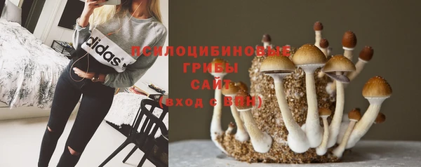 метадон Белокуриха