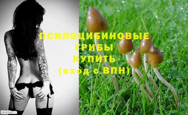 не бодяженный Беломорск
