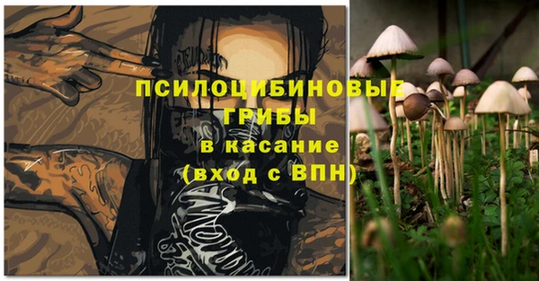 не бодяженный Беломорск