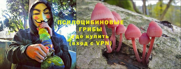 метадон Белокуриха